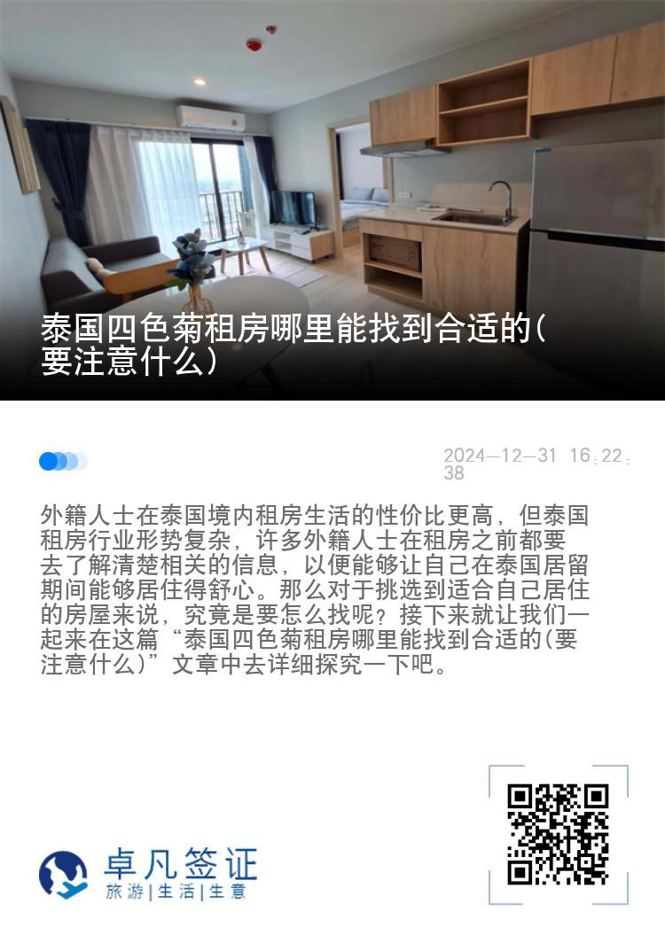 泰国四色菊租房哪里能找到合适的(要注意什么)